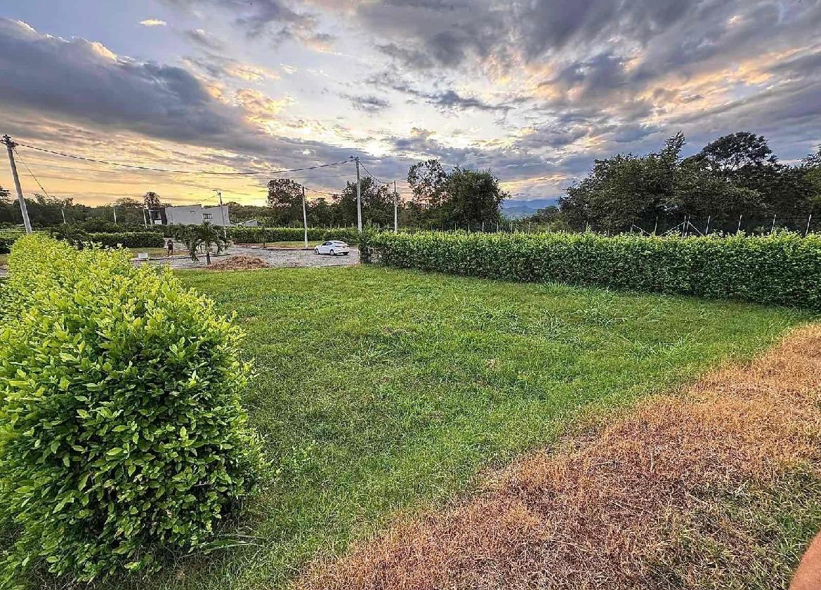venta de lote campestre en San Pedro valle corregimiento san jose - Imagen 4