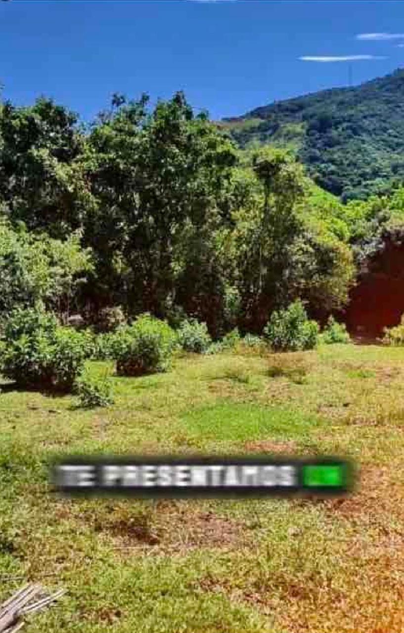 VENTA DE LOTE PARAJE DE PORTUGAL DE PIEDRAS, CORREGIMIENTO DE FENICIA, AREA RURAL DEL MUNICIPIO DE RIOFRIO.