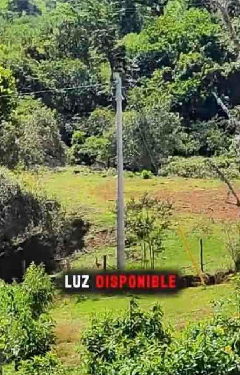 VENTA DE LOTE PARAJE DE PORTUGAL DE PIEDRAS, CORREGIMIENTO DE FENICIA, AREA RURAL DEL MUNICIPIO DE RIOFRIO. - Imagen 10