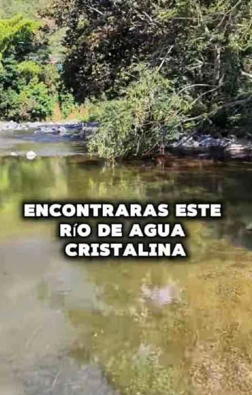 VENTA DE LOTE PARAJE DE PORTUGAL DE PIEDRAS, CORREGIMIENTO DE FENICIA, AREA RURAL DEL MUNICIPIO DE RIOFRIO. - Imagen 4