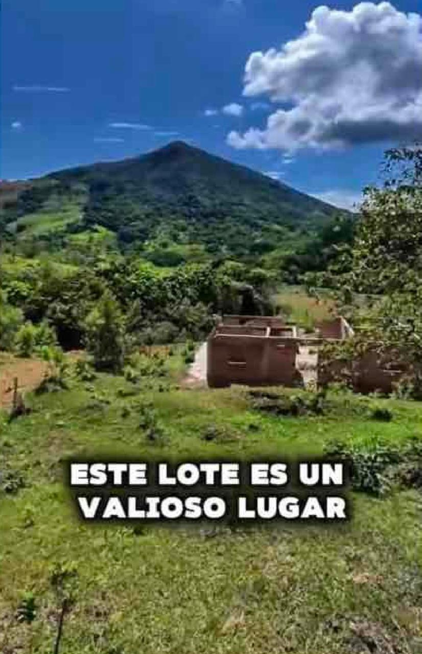 VENTA DE LOTE PARAJE DE PORTUGAL DE PIEDRAS, CORREGIMIENTO DE FENICIA, AREA RURAL DEL MUNICIPIO DE RIOFRIO. - Imagen 9