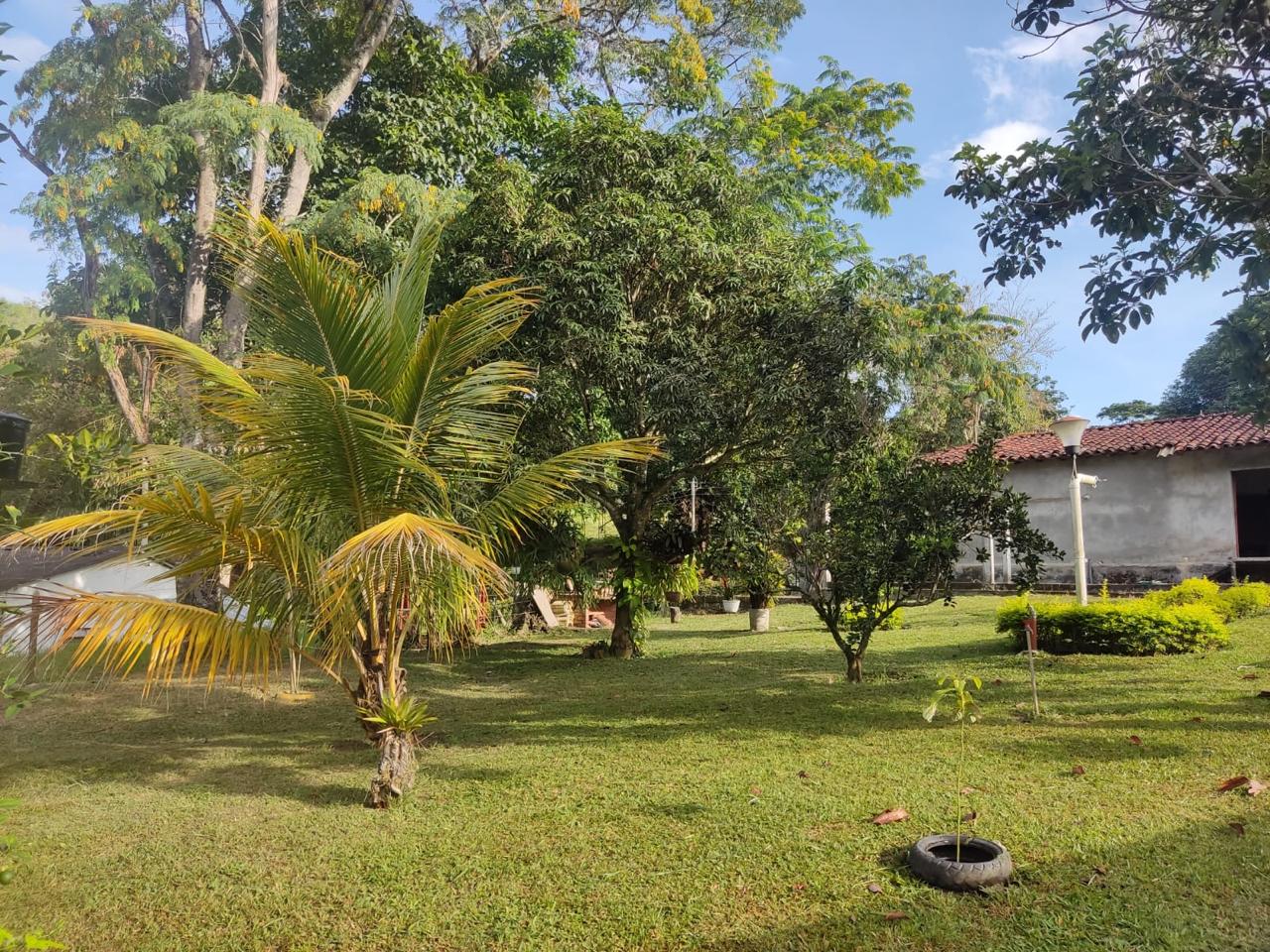 Venta de Casa Campestre en Tuluá valle, corregimiento de mateguadua - Imagen 9