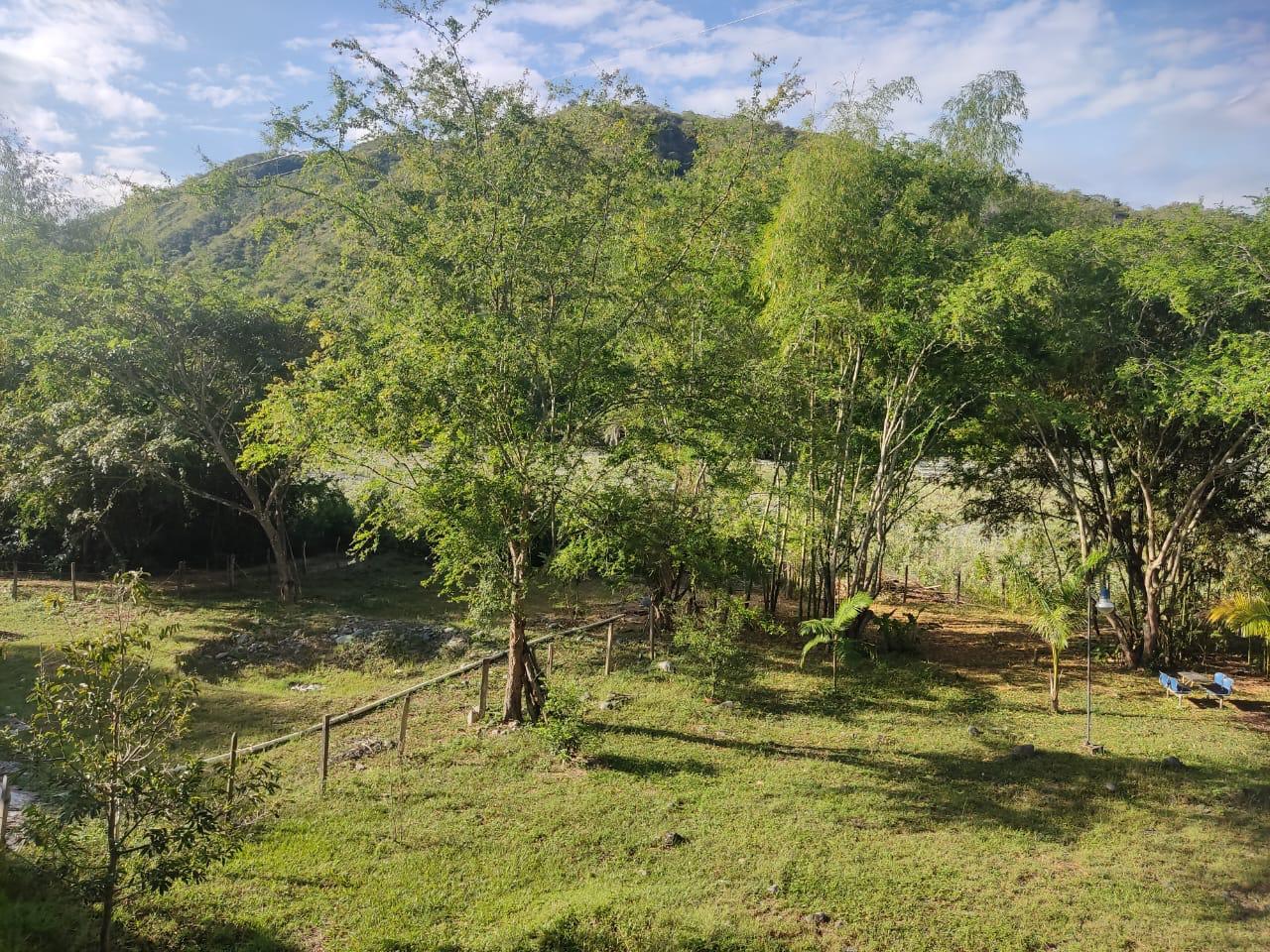 Venta de Casa Campestre en Tuluá valle, corregimiento de mateguadua - Imagen 17
