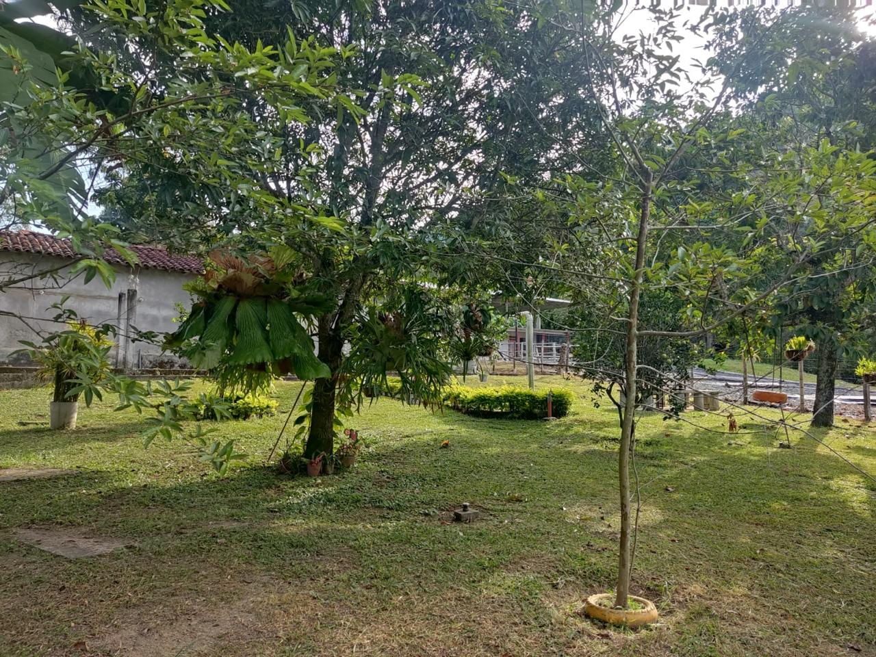 Venta de Casa Campestre en Tuluá valle, corregimiento de mateguadua - Imagen 19