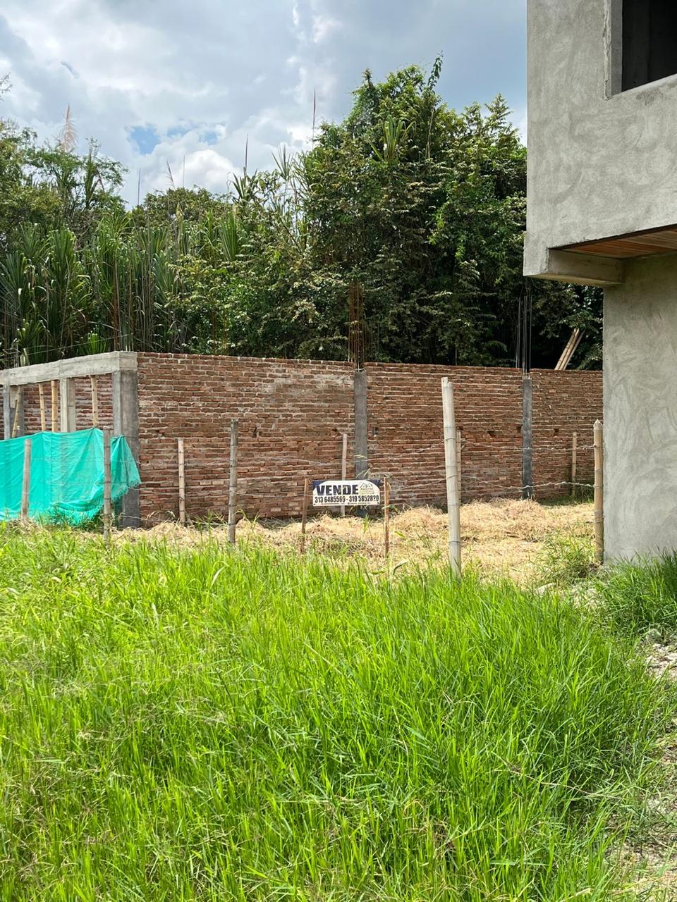Venta de lote en el barrio jazmin, Tuluá, valle del Cauca - Imagen 10