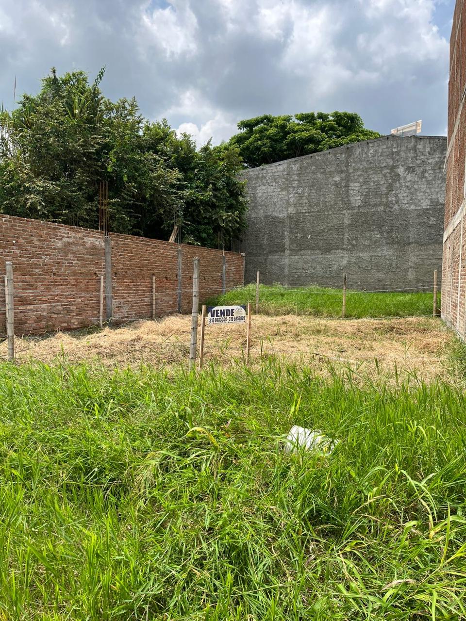 Venta de lote en el barrio jazmin, Tuluá, valle del Cauca - Imagen 11