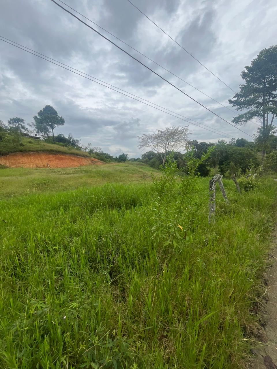 Venta de Lote en Tuluá, Valle del Cauca corregimiento la Iberia - Imagen 10