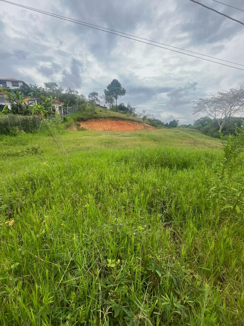 Venta de Lote en Tuluá, Valle del Cauca corregimiento la Iberia - Imagen 13