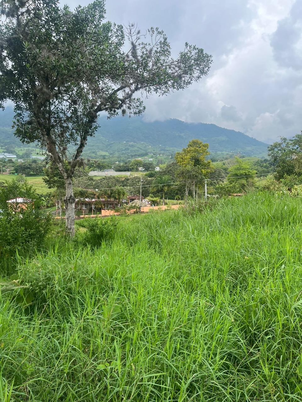 Venta de Lote en Tuluá, Valle del Cauca corregimiento la Iberia - Imagen 17
