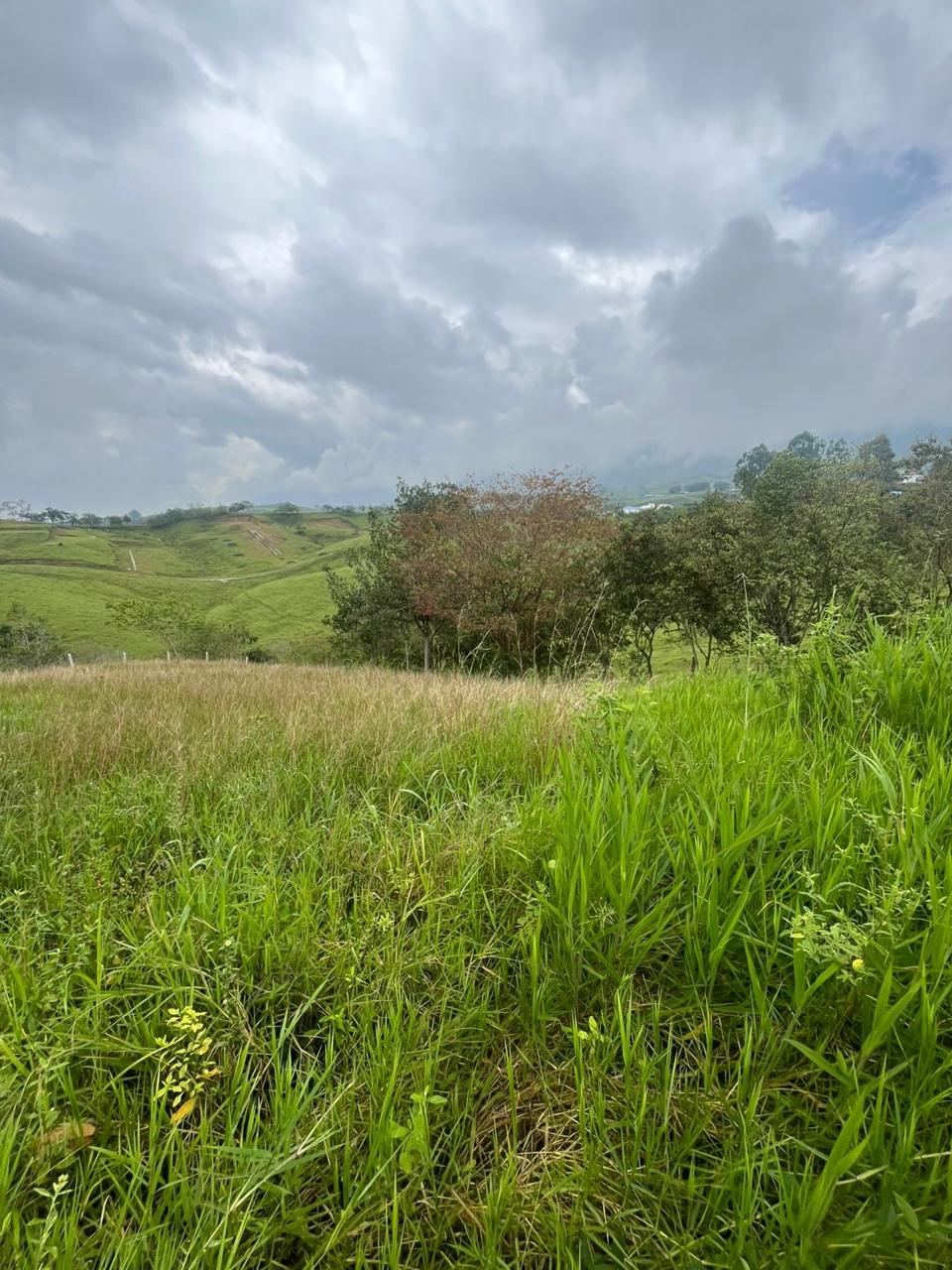 Venta de Lote en Tuluá, Valle del Cauca corregimiento la Iberia - Imagen 5