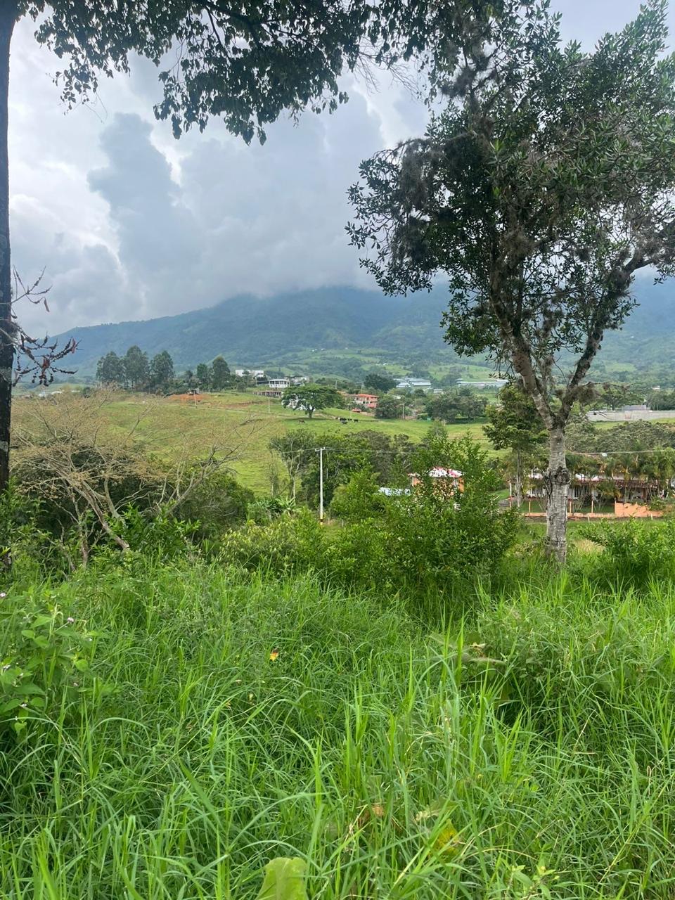 Venta de Lote en Tuluá, Valle del Cauca corregimiento la Iberia - Imagen 21