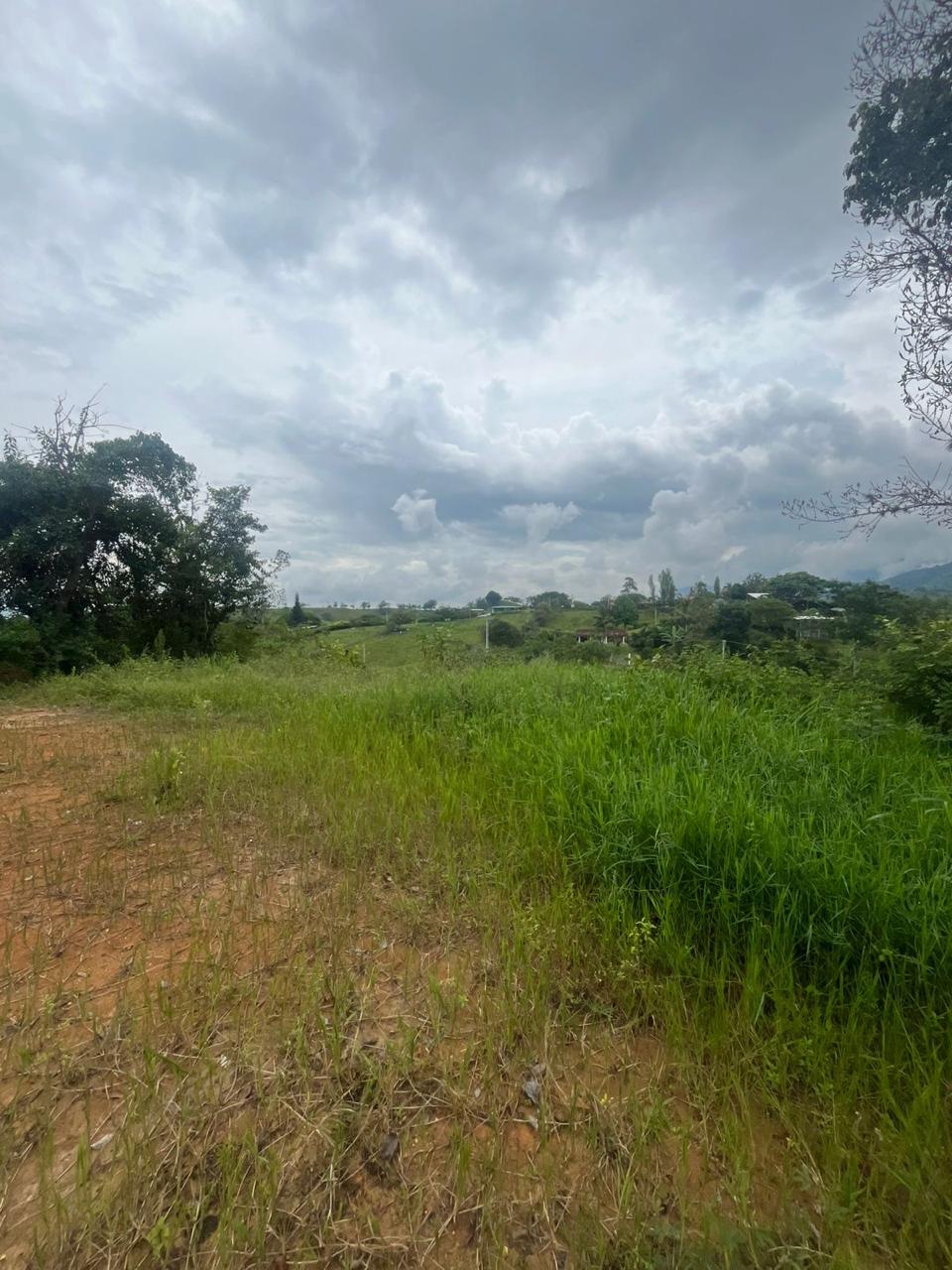 Venta de Lote en Tuluá, Valle del Cauca corregimiento la Iberia - Imagen 23