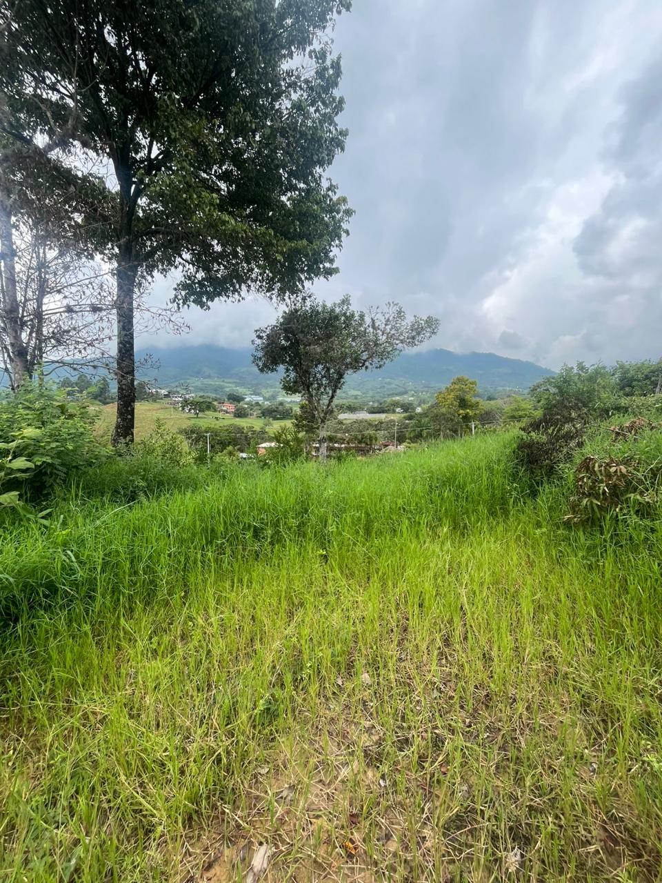Venta de Lote en Tuluá, Valle del Cauca corregimiento la Iberia - Imagen 25