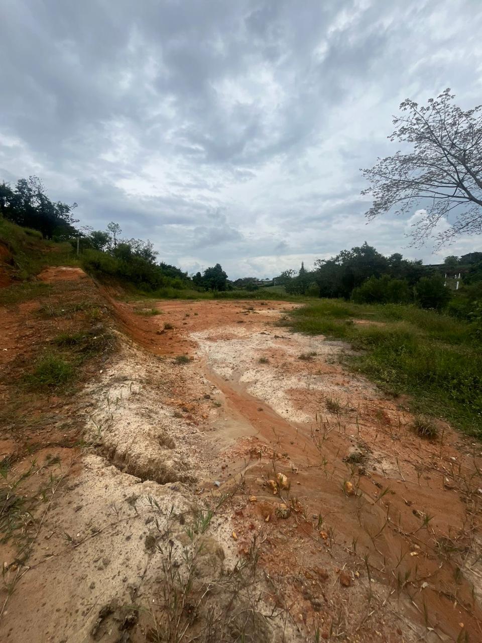 Venta de Lote en Tuluá, Valle del Cauca corregimiento la Iberia - Imagen 26