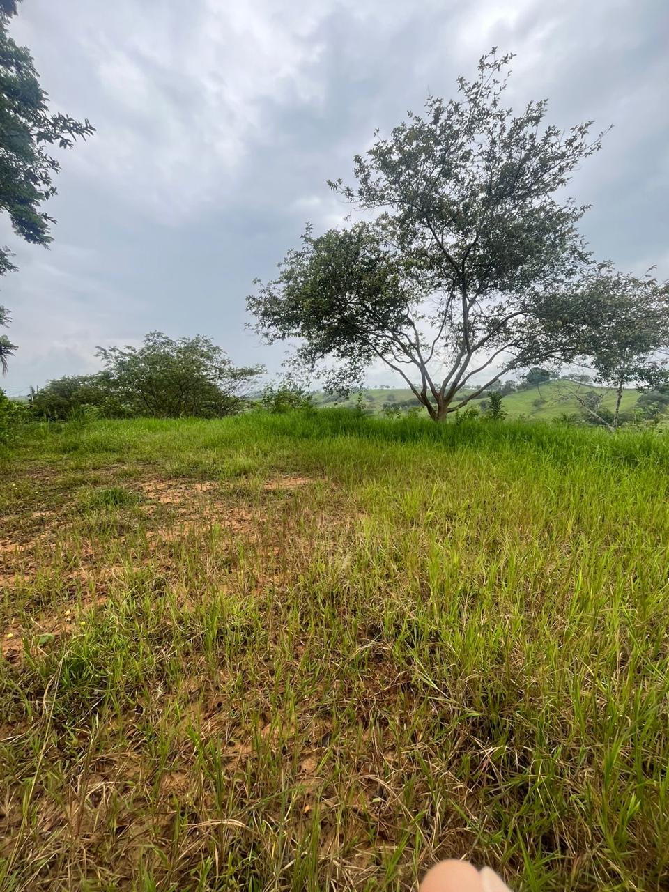 Venta de Lote en Tuluá, Valle del Cauca corregimiento la Iberia - Imagen 33