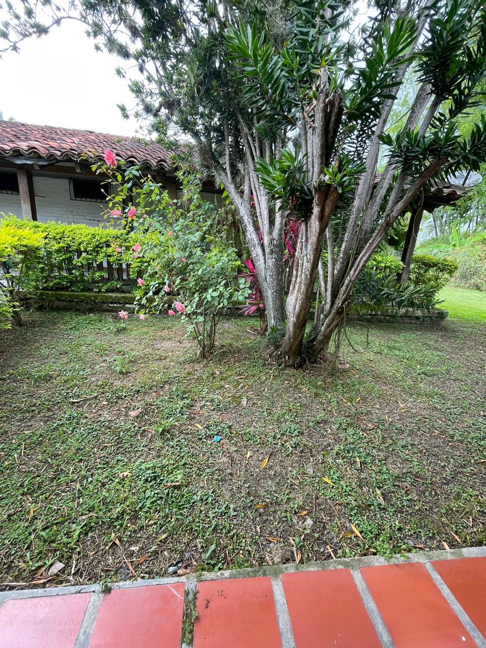 Venta de casa campestre en Andalucía, valle de Cauca, vereda campoalegre - Imagen 32