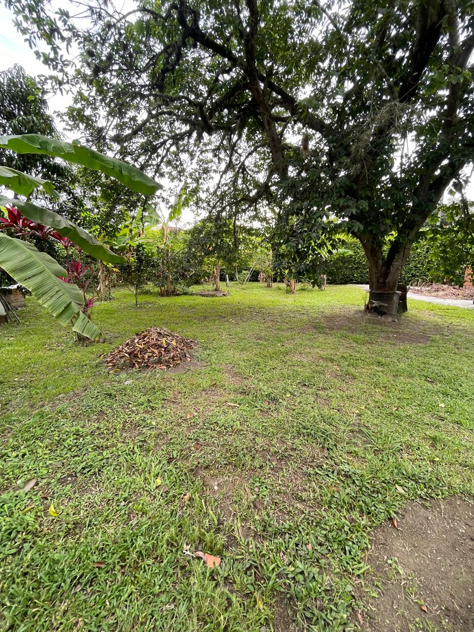 Venta de casa campestre en Andalucía, valle de Cauca, vereda campoalegre - Imagen 38