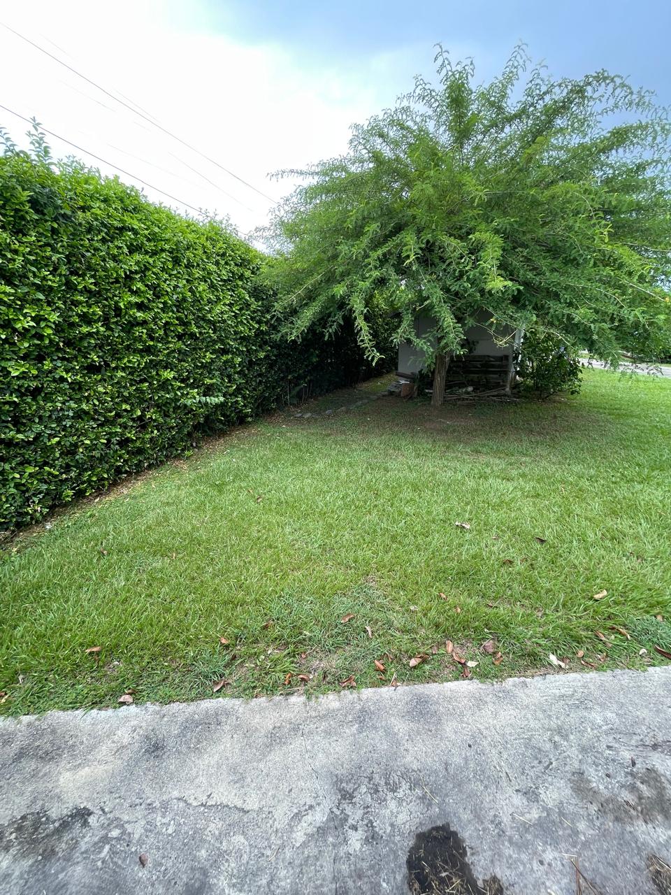 Venta de casa campestre en Andalucía, valle de Cauca, vereda campoalegre - Imagen 44