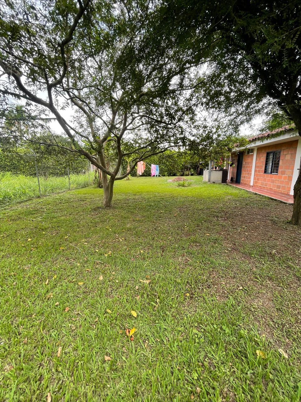 Venta de casa campestre en Andalucía, valle de Cauca, vereda campoalegre - Imagen 53