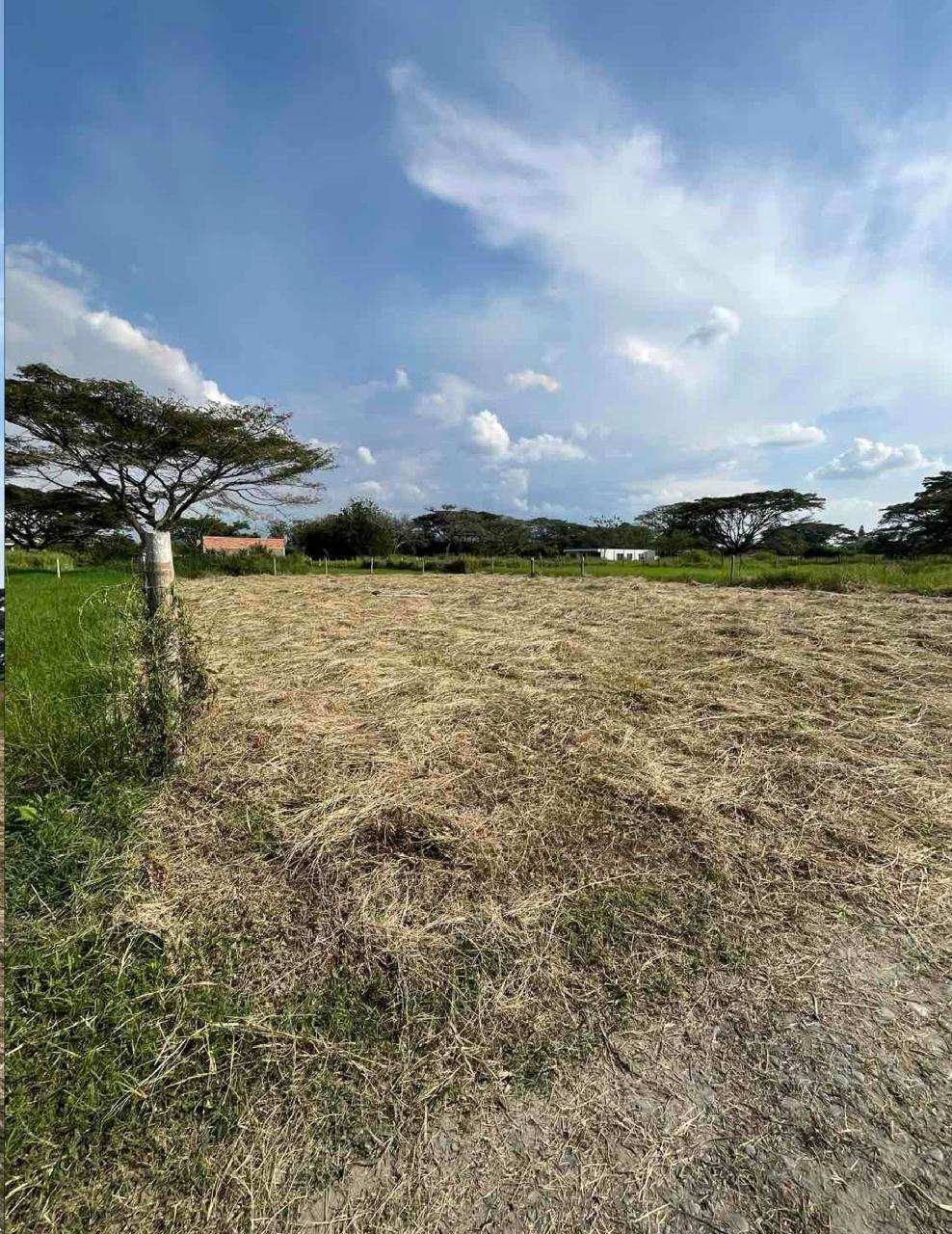 Venta de Casa Campestre en Tuluá, Valle del Cauca, corregimiento La Iberia - Imagen 22