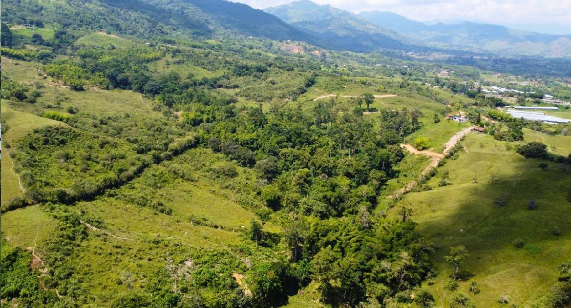 Venta de Lotes Campestres en Tuluá Corregimiento de La Iberia Valle del Cauca - Parcelacion Campestre Las Guacamayas - Imagen 4