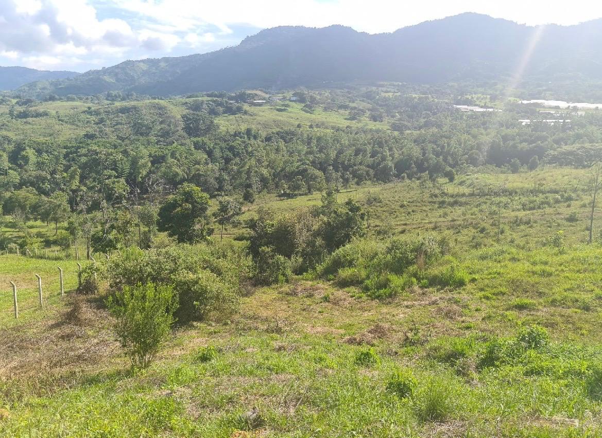 Venta de Lote campestre en Tulua Valle Corregimiento de La Iberia a 12 minutos de Tulua
