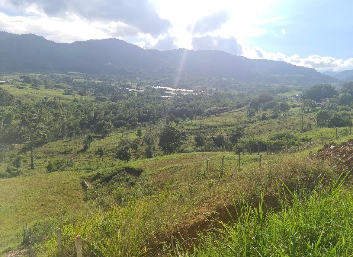 Venta de Lote campestre en Tulua Valle Corregimiento de La Iberia a 12 minutos de Tulua - Imagen 2