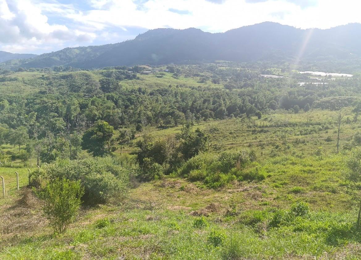 Venta de Lote campestre en Tulua Valle Corregimiento de La Iberia a 12 minutos de Tulua - Imagen 3