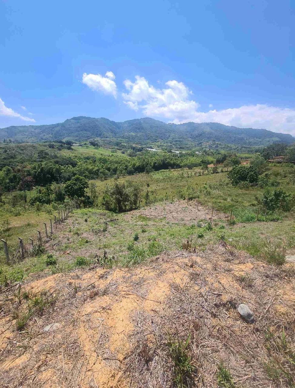 Venta de Lote campestre en Tulua Valle Corregimiento de La Iberia a 12 minutos de Tulua - Imagen 5