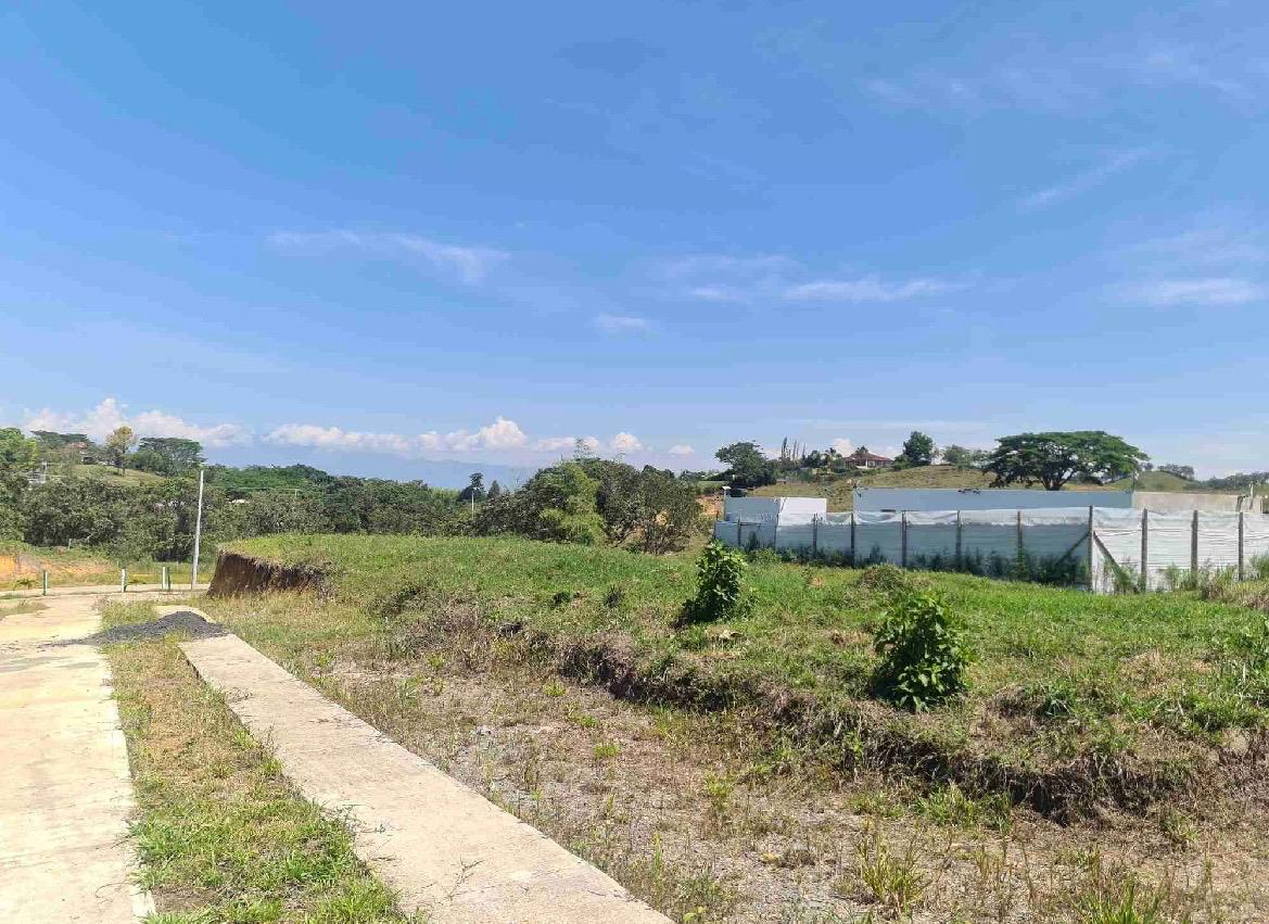 Venta de lotes campestres en Tuluá Corregimiento de La Iberia Valle del Cauca - Imagen 3
