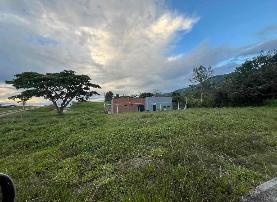 Venta de lotes campestres en Tuluá Corregimiento de La Iberia Valle del Cauca - Imagen 10