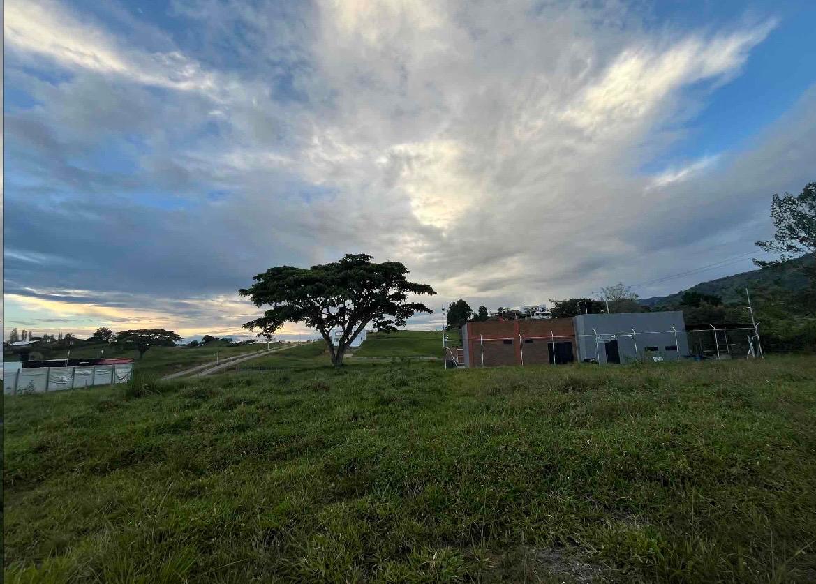 Venta de lotes campestres en Tuluá Corregimiento de La Iberia Valle del Cauca - Imagen 12