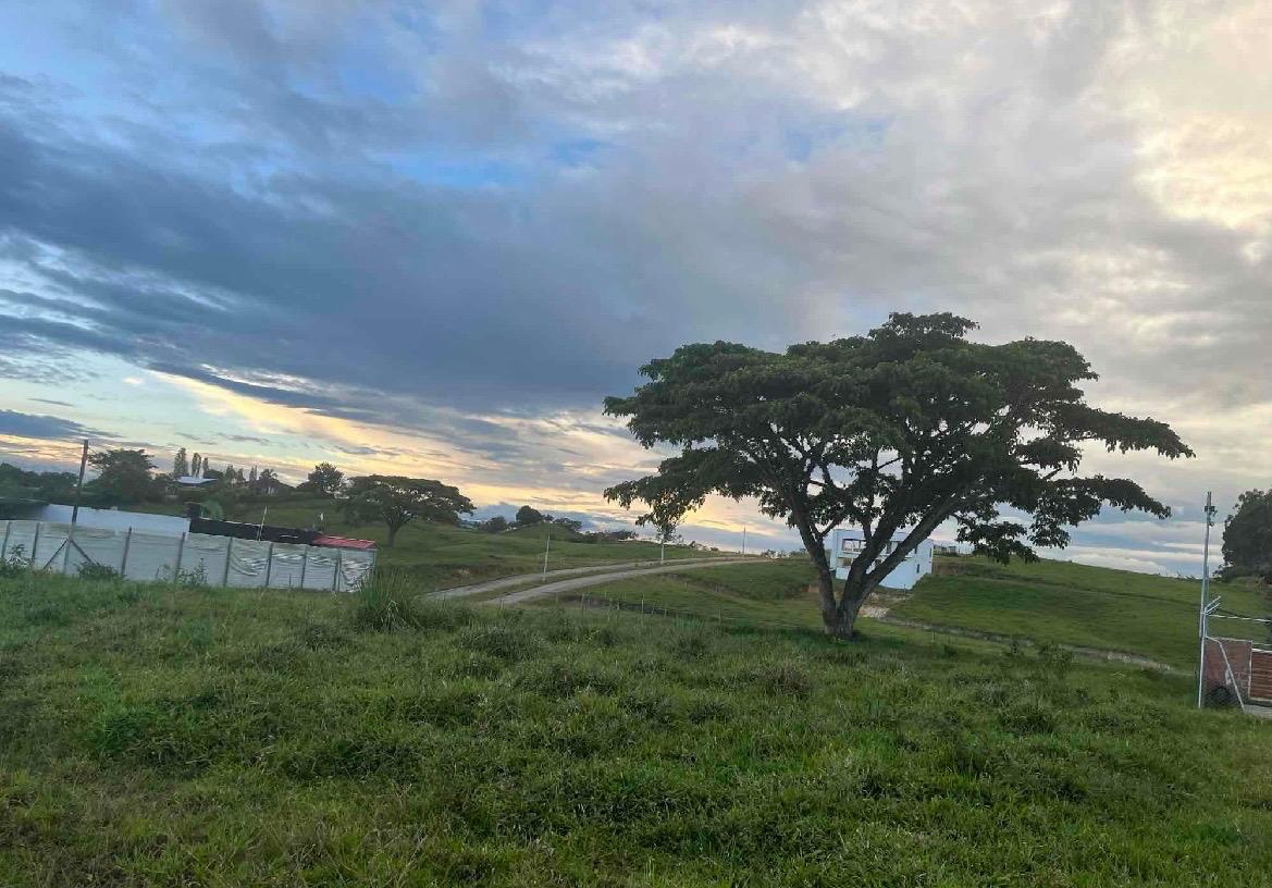 Venta de lotes campestres en Tuluá Corregimiento de La Iberia Valle del Cauca - Imagen 14