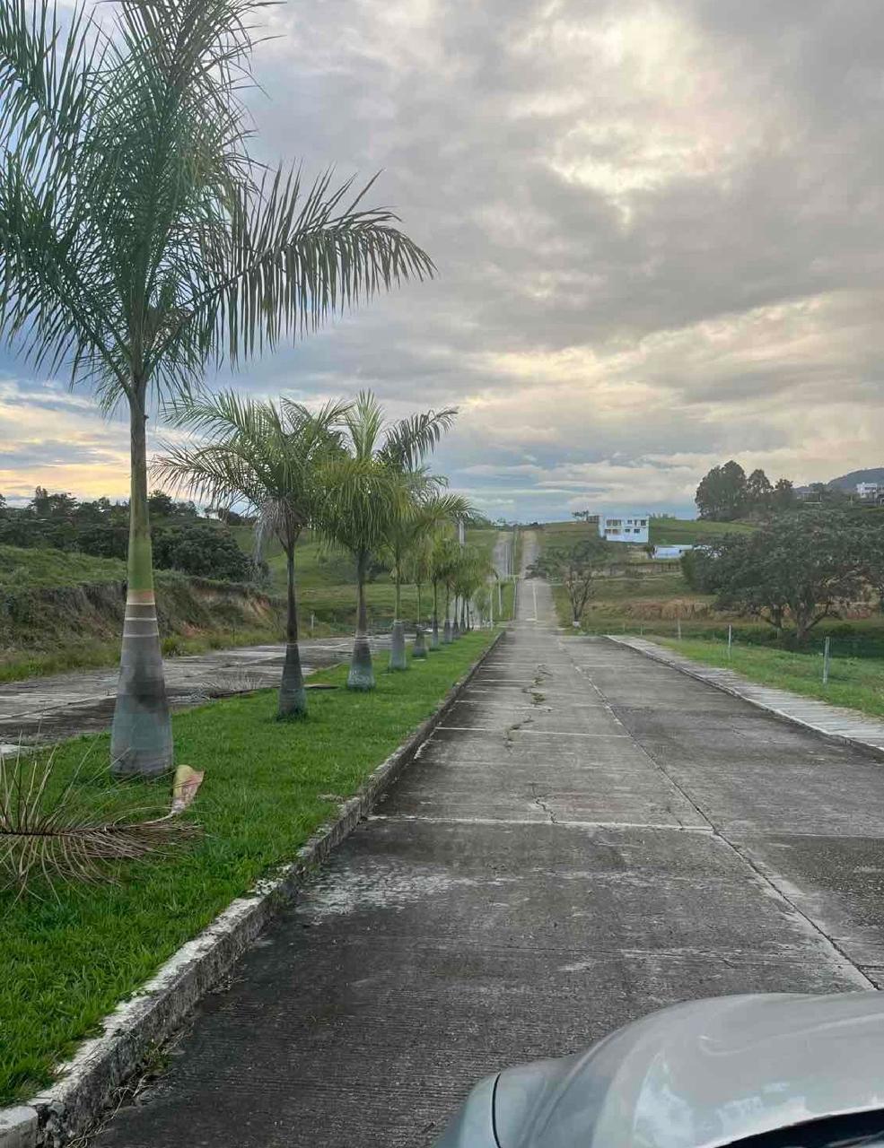 Venta de lotes campestres en Tuluá Corregimiento de La Iberia Valle del Cauca - Imagen 15