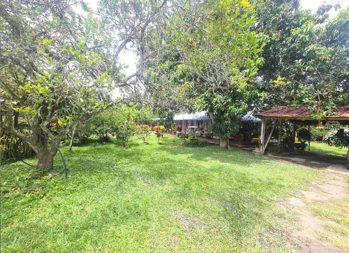 venta de casa campestre en Andalucia Valle corregimiento de El Salto - Imagen 5