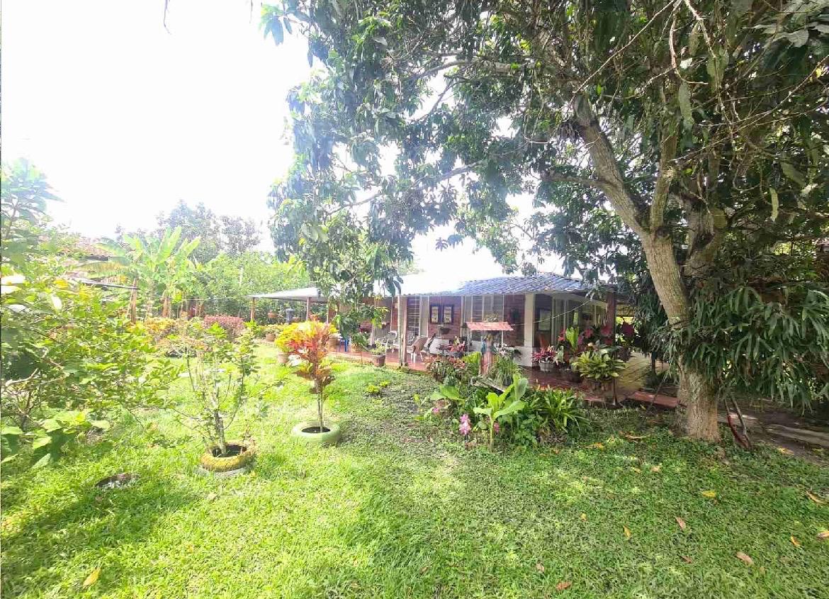 venta de casa campestre en Andalucia Valle corregimiento de El Salto - Imagen 6