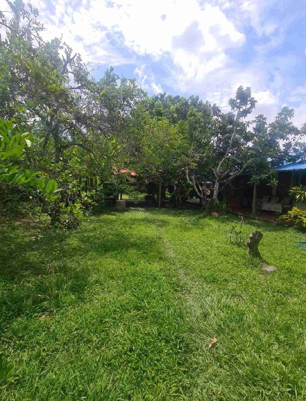venta de casa campestre en Andalucia Valle corregimiento de El Salto - Imagen 21