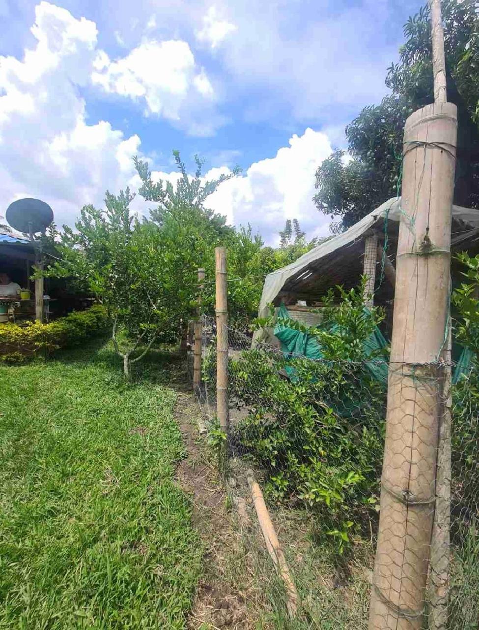 venta de casa campestre en Andalucia Valle corregimiento de El Salto - Imagen 22