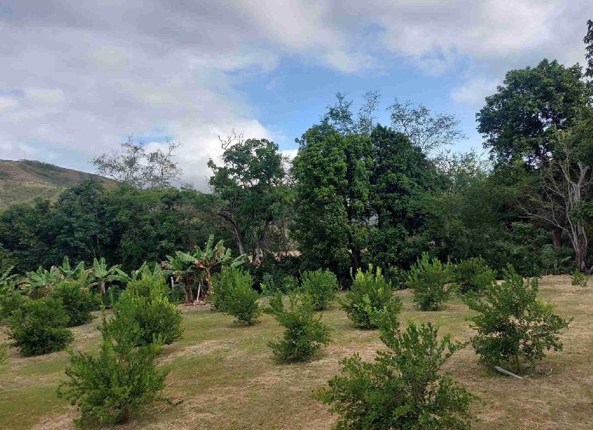 venta de lote en huasano valle