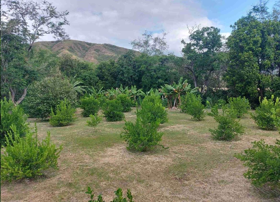 venta de lote en huasano valle - Imagen 13