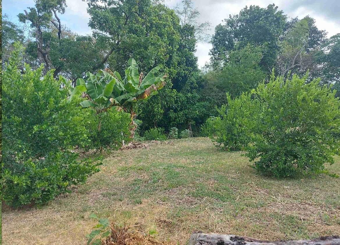 venta de lote en huasano valle - Imagen 2