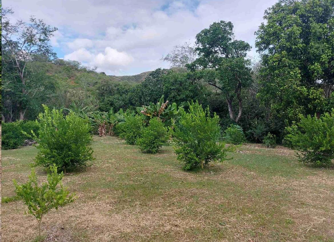 venta de lote en huasano valle - Imagen 8
