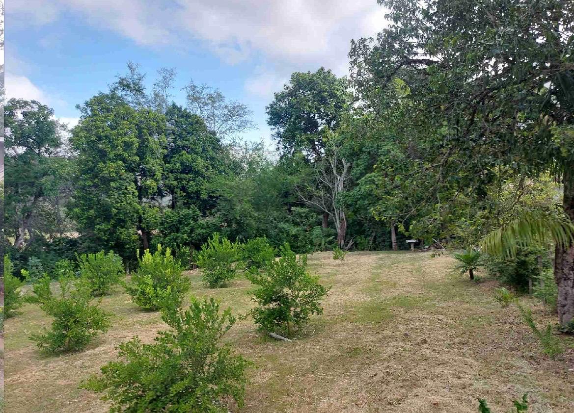 venta de lote en huasano valle - Imagen 21