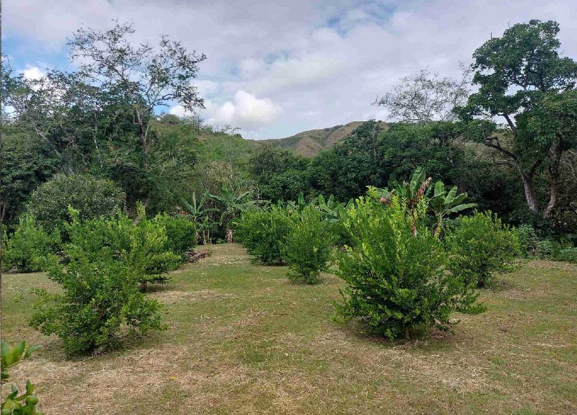 venta de lote en huasano valle - Imagen 24
