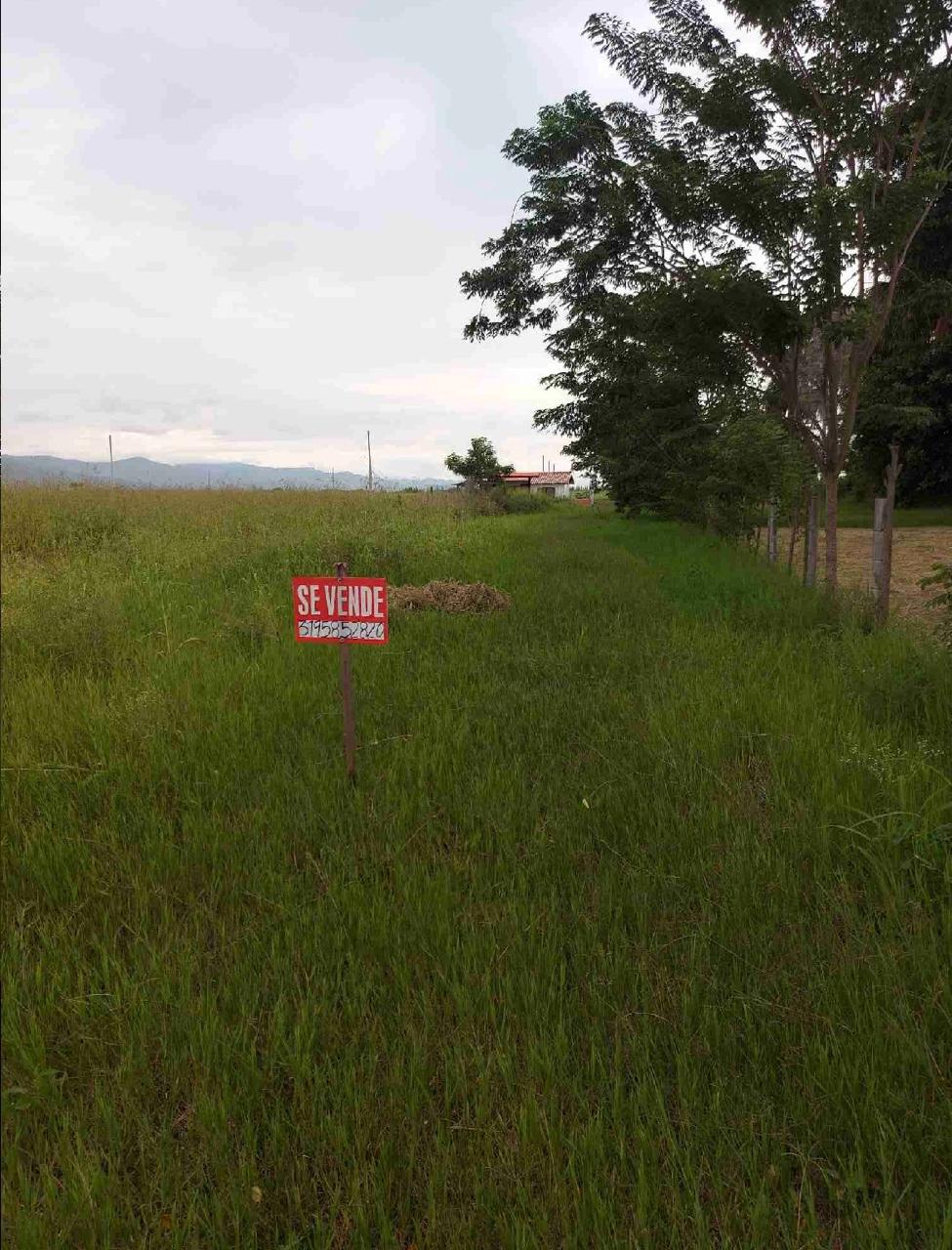 venta de lotes campestres en tulua nariño valle