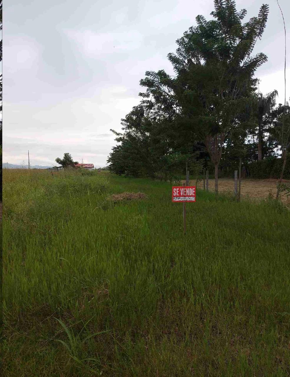 venta de lotes campestres en tulua nariño valle - Imagen 4