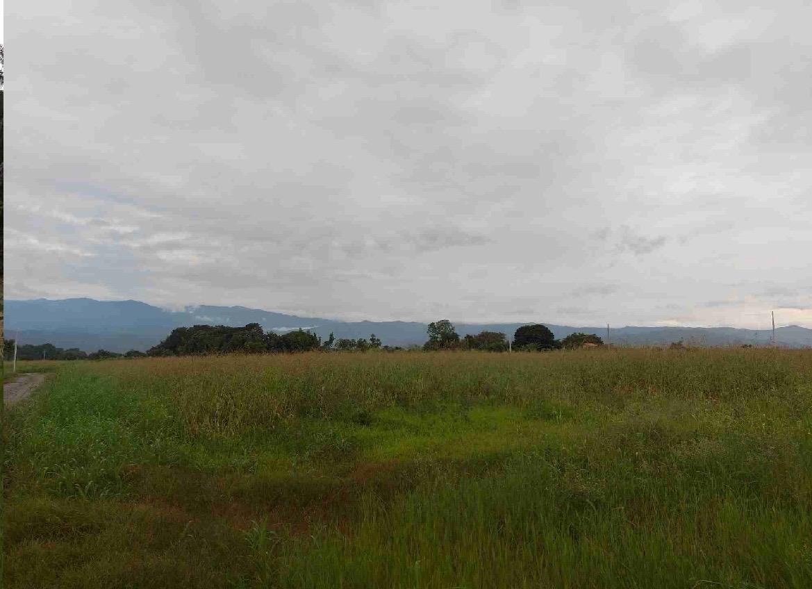 venta de lotes campestres en tulua nariño valle - Imagen 5