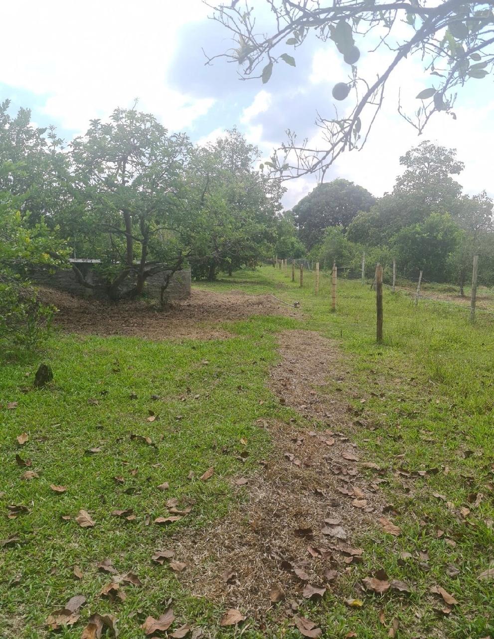 Venta de finca en Andalucia Valle Zabaletas AREA 8.579 Mt² - Imagen 6