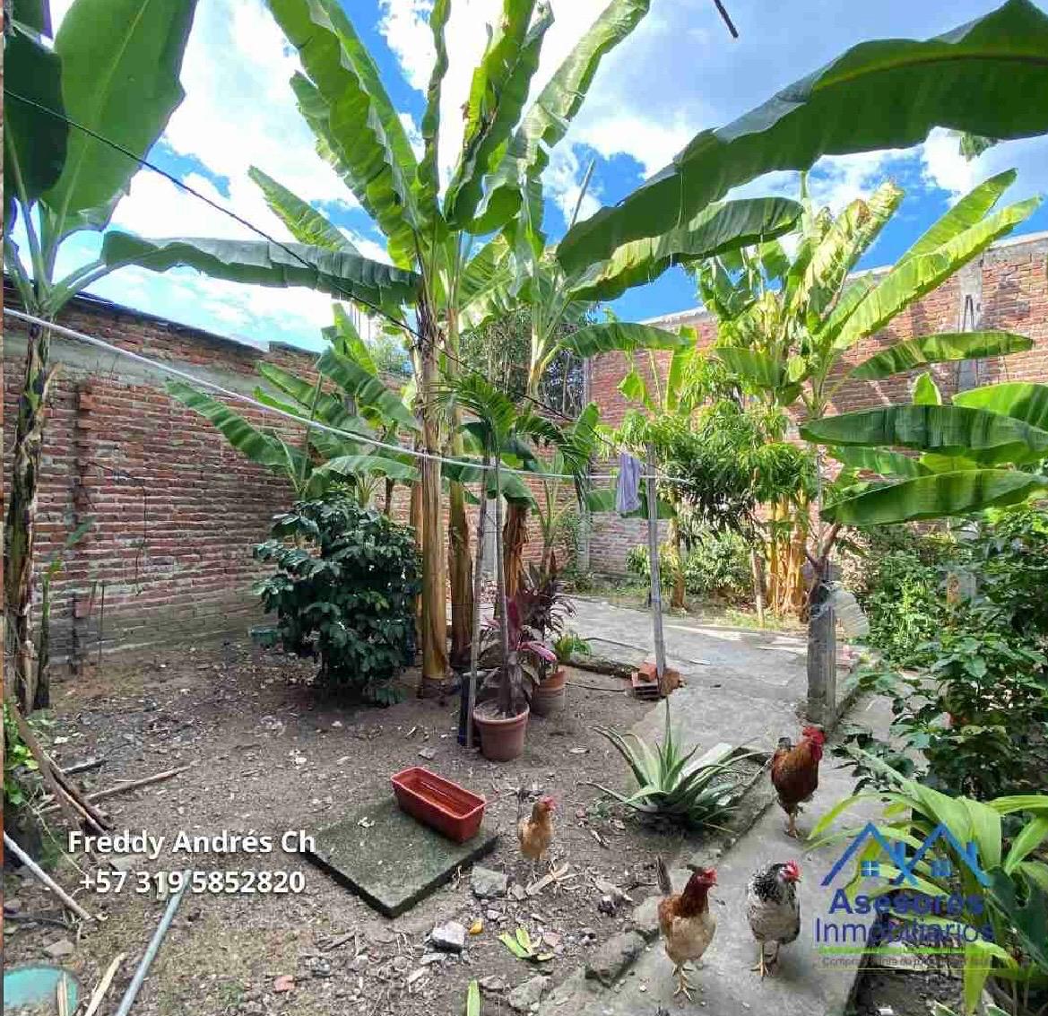 venta de casa en tulua valle - Imagen 9