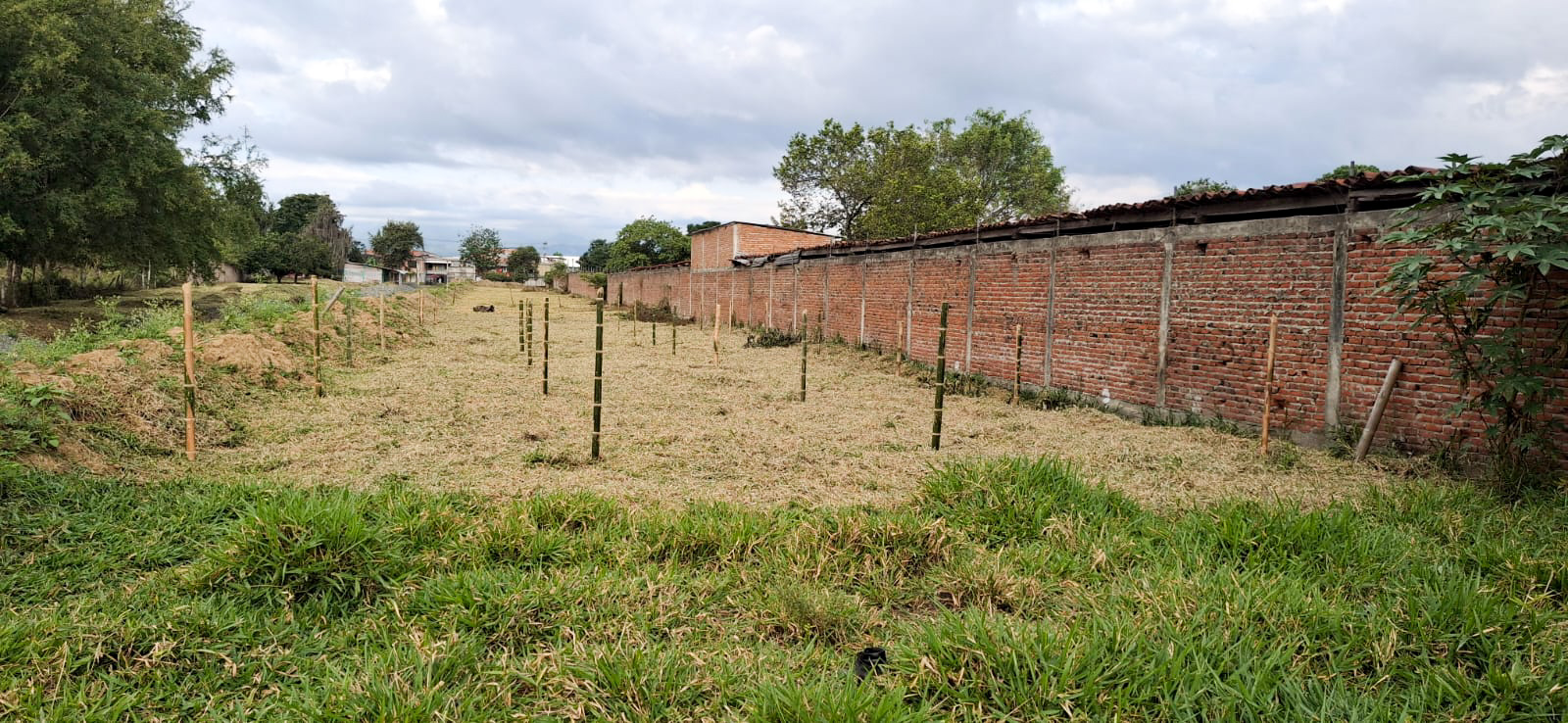 Lote Urbano - Imagen 3